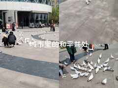 -中粮·祥云小镇
