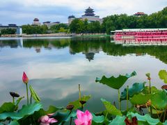 -莲花池公园