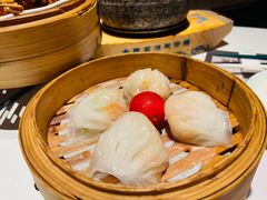 -新兴·金羊座·粤菜点心(乐峰店)