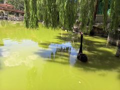 -舜耕山庄四时万和自助餐厅