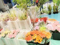 -盒马X会员店(上海森兰商都店)
