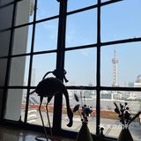  悦6 充满法式浪漫的神仙餐厅