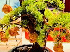 -宴长沙(五一广场店)