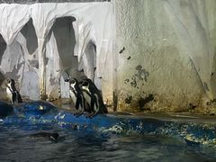 -太平洋海底世界