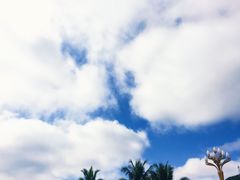 -打洛口岸