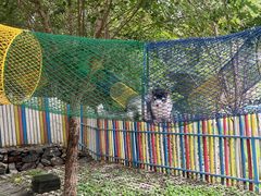 -西部长青自然儿童乐园