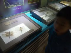 -上海昆虫博物馆