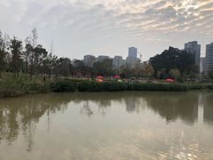 -牛岗山公园