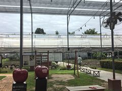 -Ohkajhu Organic Farm Sansai