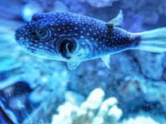 -成都浩海立方海洋公园