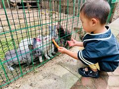 -林栖谷森林康养度假区