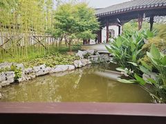 -上海滨江森林公园
