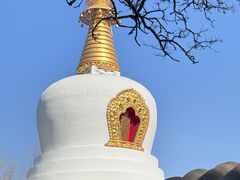 -护国法轮寺