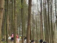 -宾果蒙特梭利托育儿童之家幼儿园(爱琴海店)