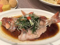 -金汇酒楼(中山东区店)