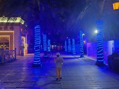 -三亚海昌梦幻海洋不夜城