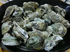 桑拿蚝-蚝专家(北滘店)