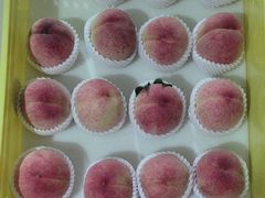 -老袁家蜜桃农场·阳山水蜜桃