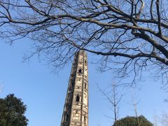 -上海佘山国家森林公园天马山园