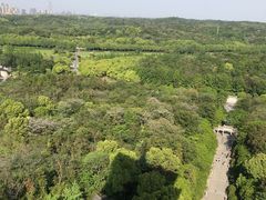 -宜兴龙背山森林公园