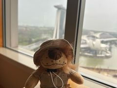 -新加坡丽思卡尔顿美年酒店