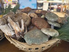 -滇铺子·云南特色菜·第九届野生菌美食节(曲靖万达店)