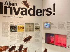-墨尔本博物馆(Melbourne Museum)