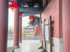-大槐树寻根祭祖园