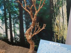 -延庆地质公园博物馆