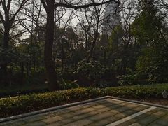 -红梅公园