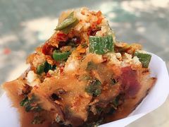 -半月镰胡姐脆皮萝卜饺子