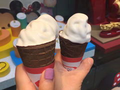 -富豪雪糕车流动点(尖沙咀店)