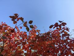 -香山公园