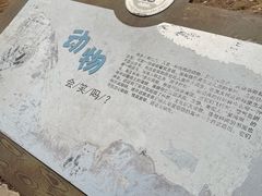 -秦皇岛野生动物园
