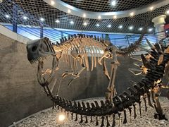 -国家自然博物馆