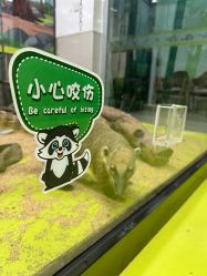 -未来动物城动物主题公园(大悦城店)