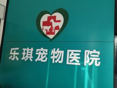-乐琪宠物医院·犬猫专科·骨外科·急重症