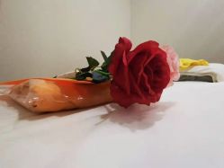 点击看大图 -Cocodemer女性健康·产后恢复(天一广场店)
