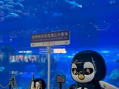 -成都浩海立方海洋公园