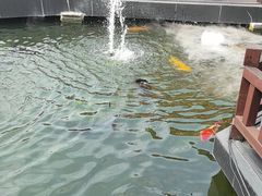 -濮园 · 四合院餐厅