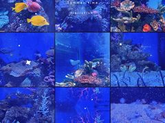 -成都浩海立方海洋公园