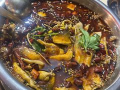 -好巴适藤椒鱼(红牌楼北街店)
