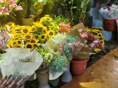 -大自然花鸟鱼虫市场