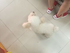 -天兴居(大兴店)