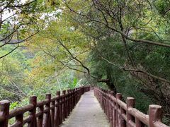 -广州市石门国家森林公园