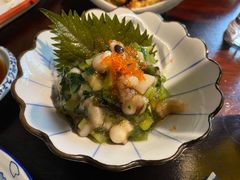 芥末八爪鱼-熊藏居酒屋(kkone店)