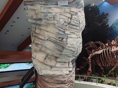 -延庆地质公园博物馆