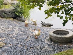 -西安锦江国际酒店