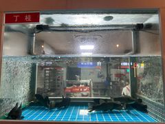 -石锅苗苗鱼(武汉首店)