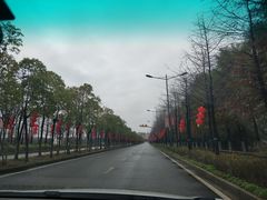 -上海长兴岛郊野公园